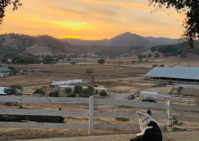 Thorson's Arena - Arena Rentals In Santa Clara County